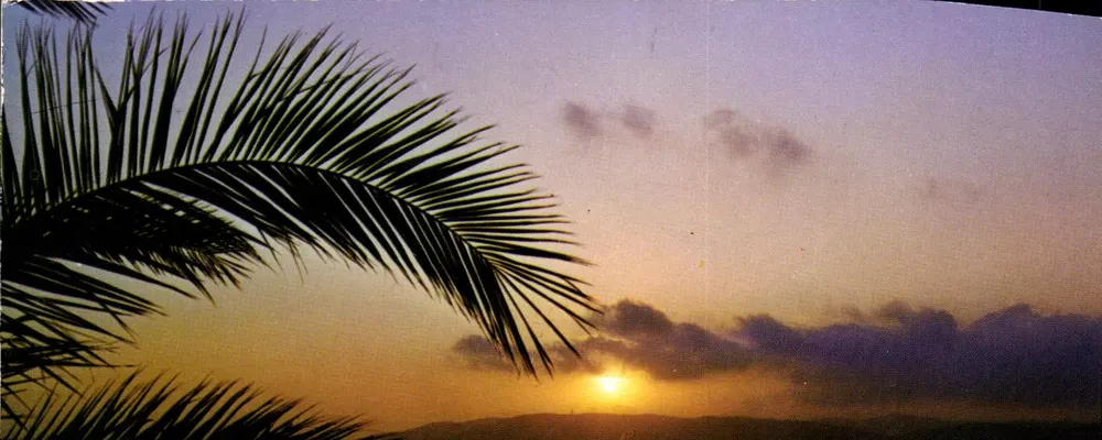 Rosto das Landas — Pôr do sol — Éditions d'Art Vignes, Landas - Frente