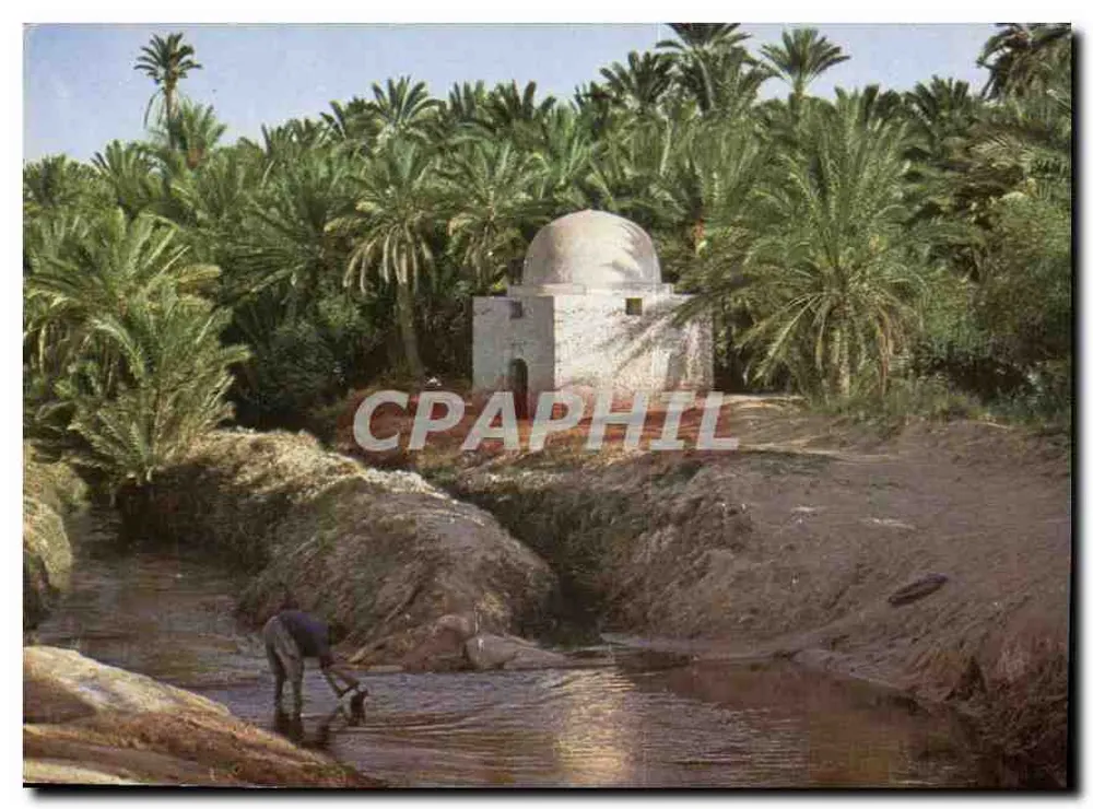 Tozeur — Marabout in der Palmenplantage (Sidi Laguili) — Éditions Tanit, Tunis - Vorderseite