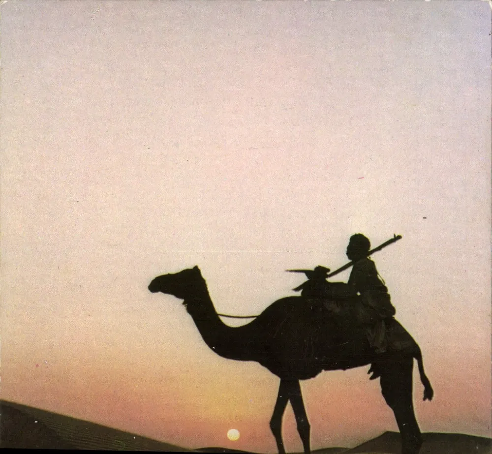 Südliches Tunesien — Silhouette eines Schäfers auf einem Kamel bei Sonnenuntergang — Natürliche Farben - Vorderseite