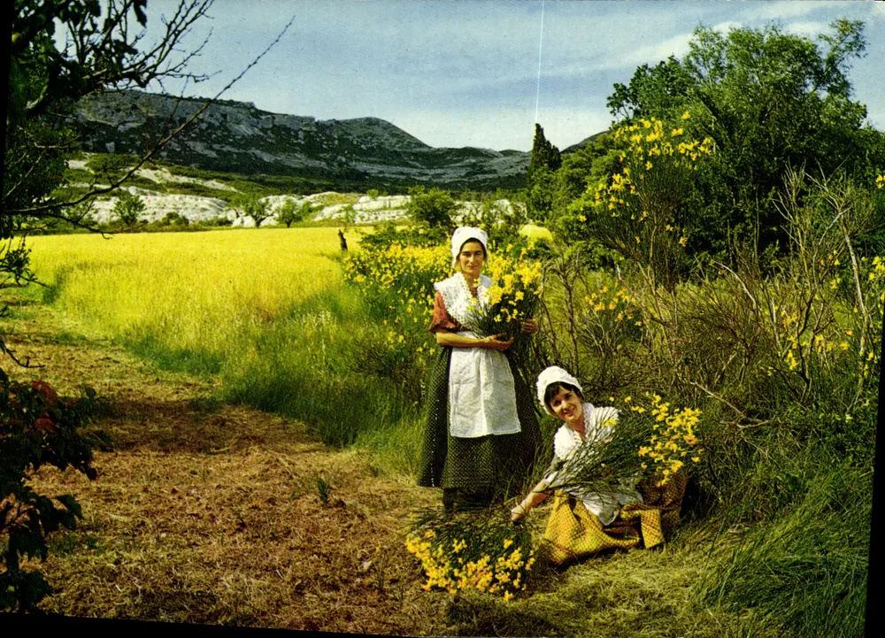 Zwei Frauen, die Geniste sammeln — Orte und Landschaften Frankreichs — Éditions de France - Vorderseite