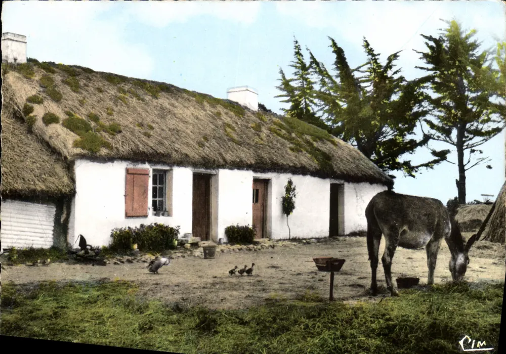 Casa com telhado de colmo — Pays Maraichin — VISIONS EN VENDÉE, n°105 - Frente