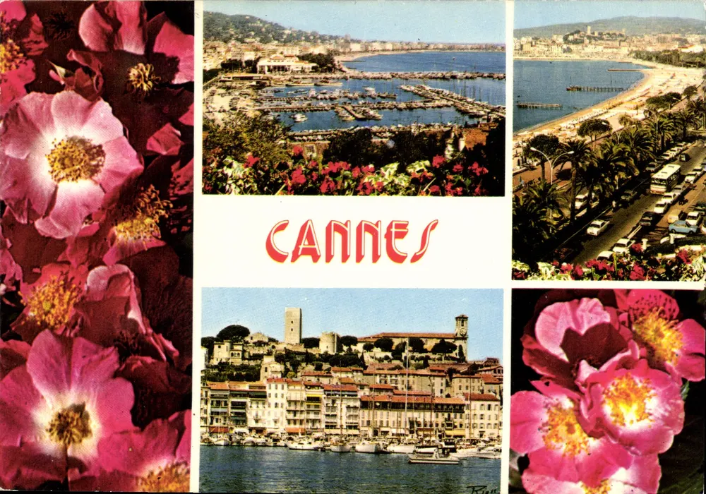 Cannes — vista panorâmica e flores — Éditions Lyoncolor - Frente