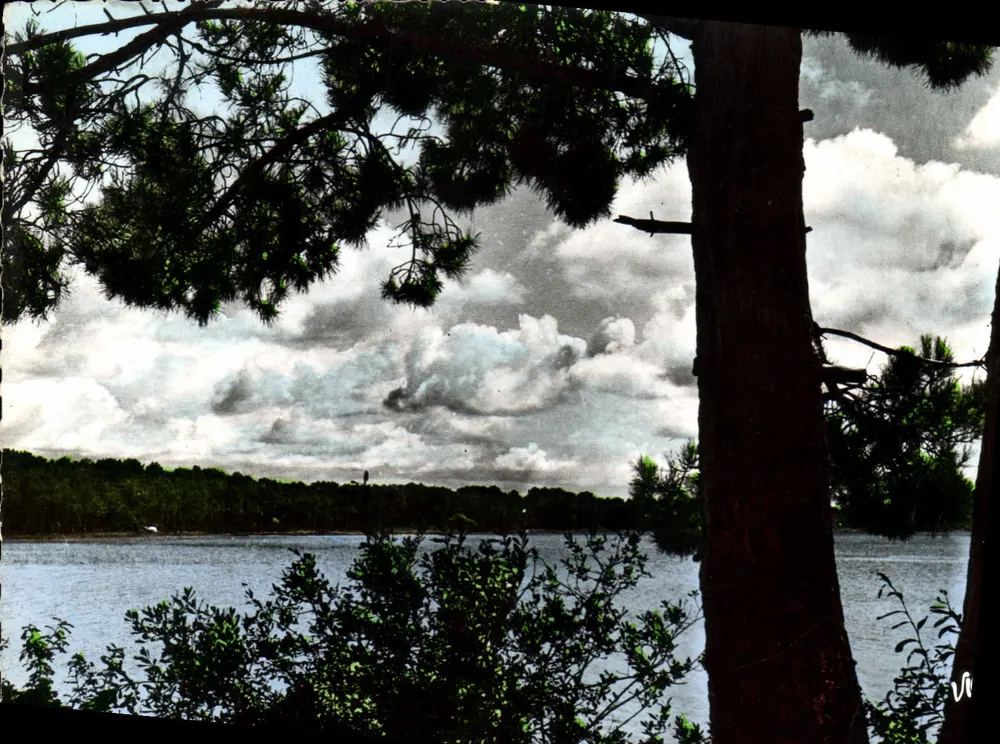 Rosto das Landas — Antes da tempestade no Lago Branco — Edições d'Art Vicq d'Aligre, n°558 - Frente