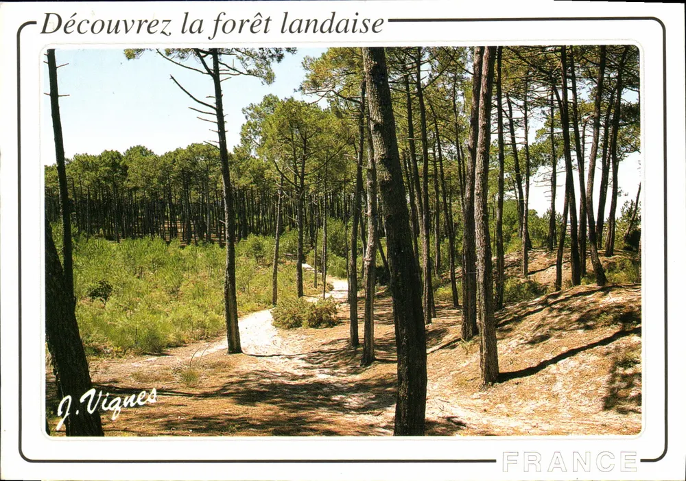 Floresta Landaise — J. Vignes — Edições d'Art Vignes - Frente
