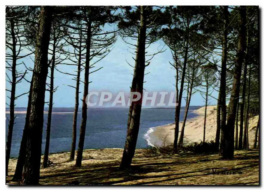 Vignes — Vista das Landas — Edições d'Art Vignes - Frente