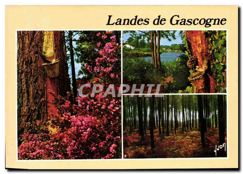 Landas da Gascunha — paisagem florestal — Éditions d'art Yvon - Frente