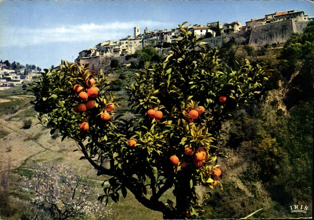 Visão geral de Saint-Paul-de-Vence — IRIS - Frente