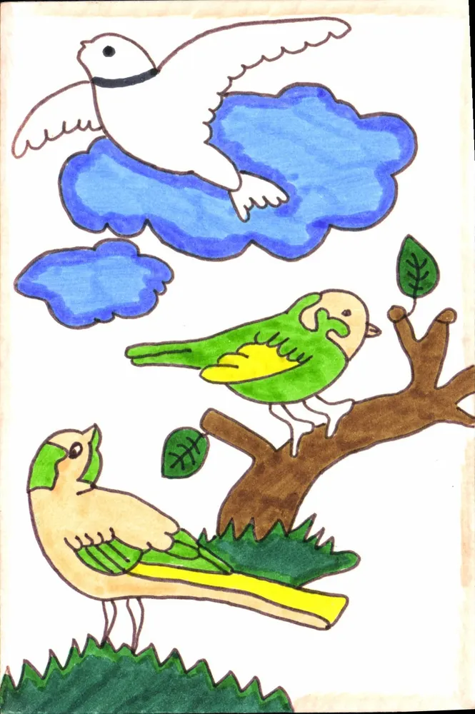 Aves — pombos e papagaios — desenho infantil - Frente