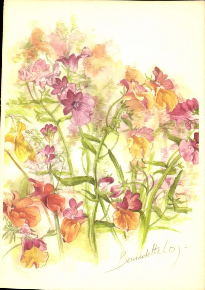 Flores coloridas — ilustração — Beundettelogy - Frente