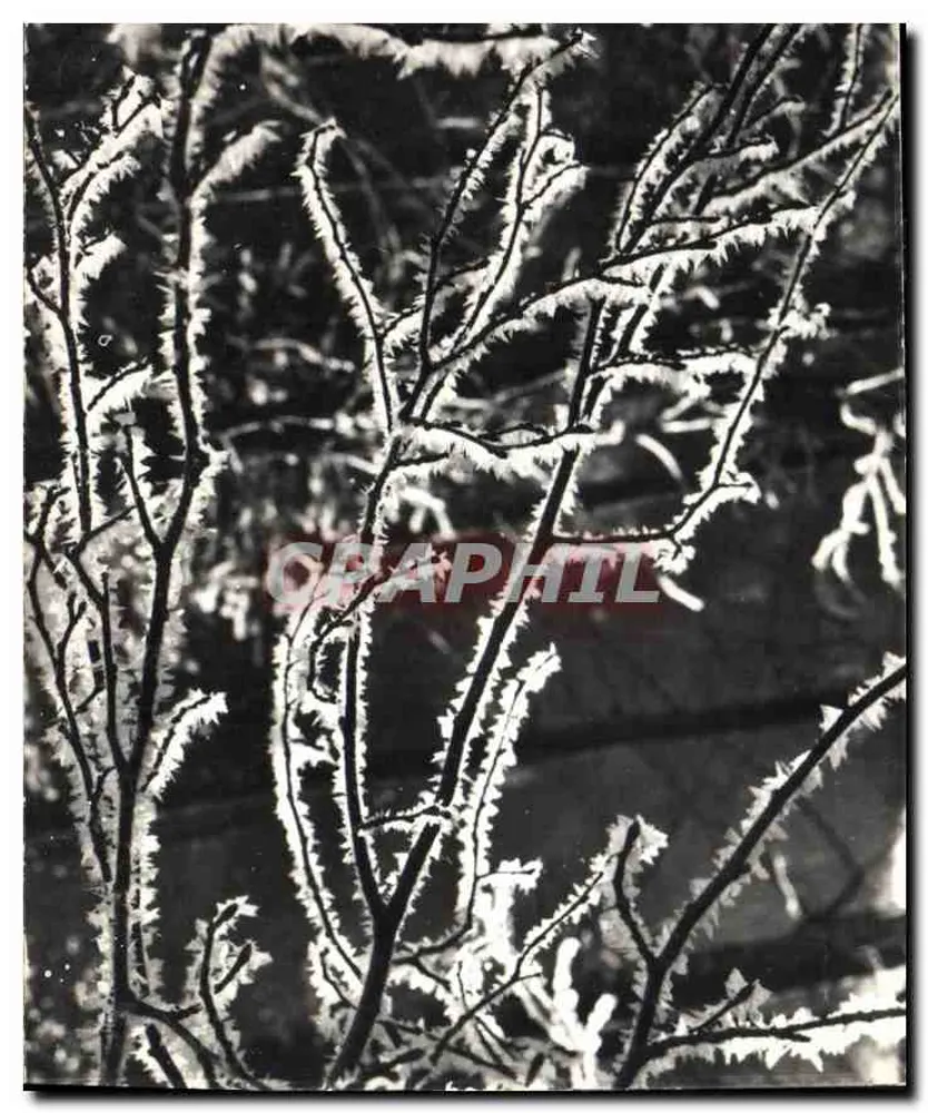 Eiswirkungen — Die Alpen — Ph. Giet — Gesellschaft der Imagistischen Fotografen-Verlags, Paris - Vorderseite