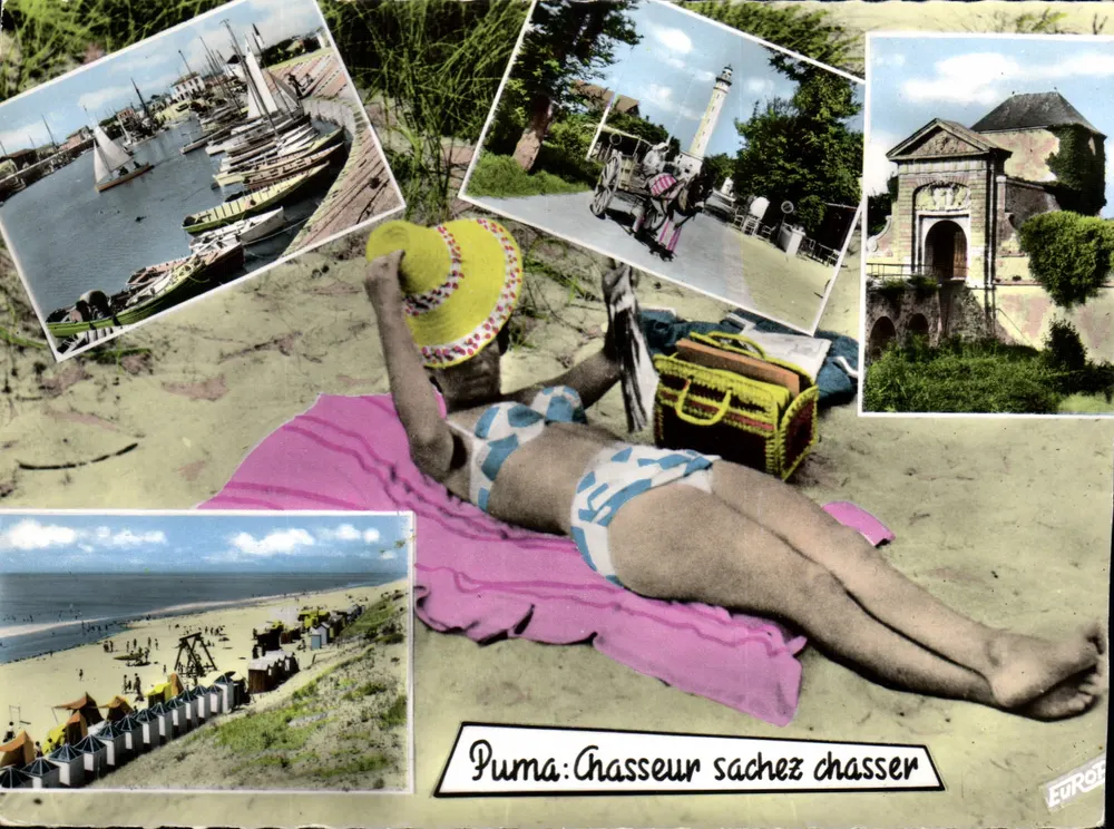 Wyspa Ré — Brzeg Lumièr — Puma: Łowca, wiedz jak łowić — Wydawnictwo PIERHON - Awers