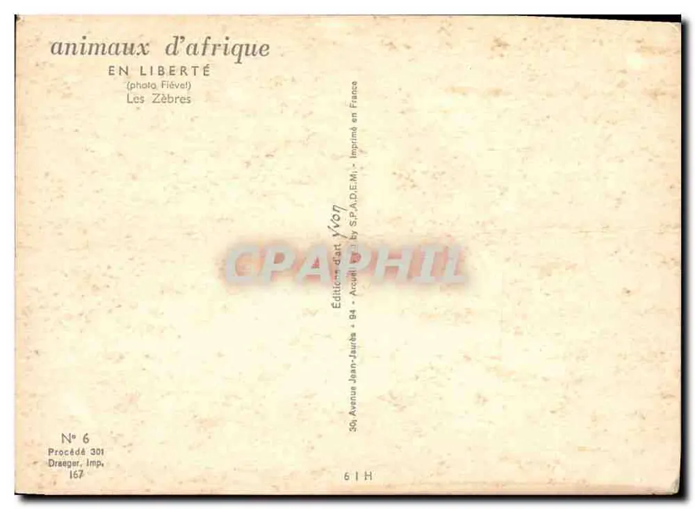 Zebra — em liberdade — Éditions Jean-Jaurès, n° 6 - Verso