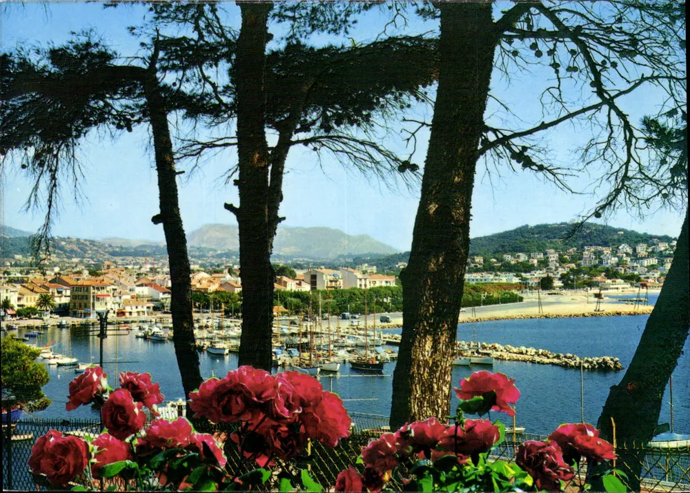 Sanary-sur-Mer — Perspektive auf den Hafen — Edition Y.P.A. n°85 - Vorderseite