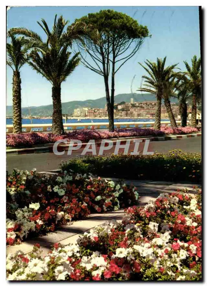 Cannes — A Croisette — As Edições MAB — n°1331 - Frente