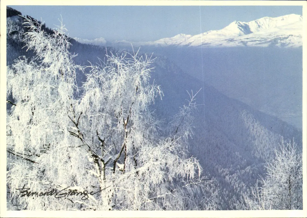Paisagem invernal nevada — montanhas nevadas e árvores geladas — Bernard Grange - Frente