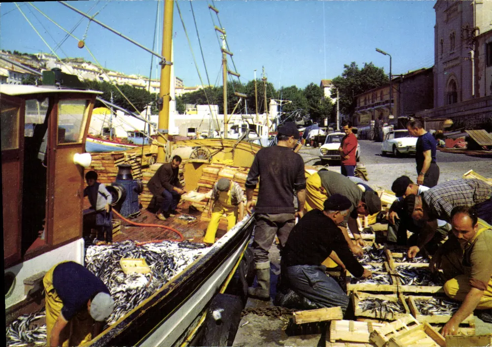 Rückkehr vom Fischen im Mittelmeer — Sardinen in Dosen — Editions 'SL' Villeurbanne - Vorderseite