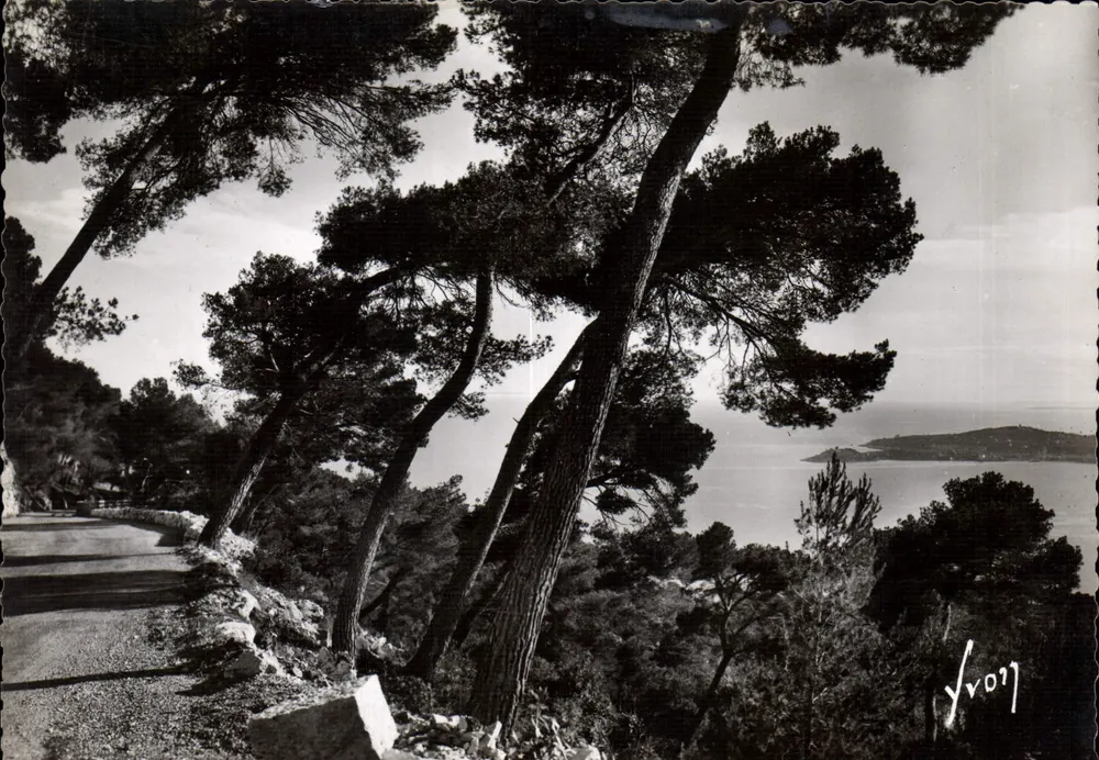 Côte d'Azur — Route de la grande corniche, rechts, Cap Ferrat — Yvon, Nr. 1558 - Vorderseite