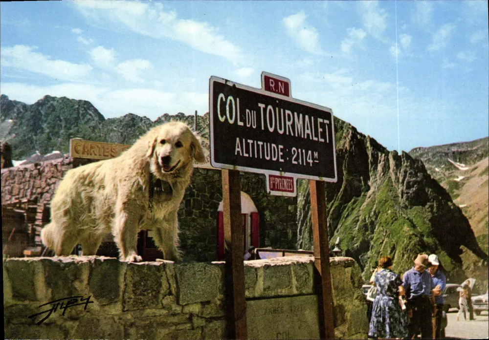 Hund am Col du Tourmalet — Pyrénées — Verlag CLICHES ALPY - Vorderseite