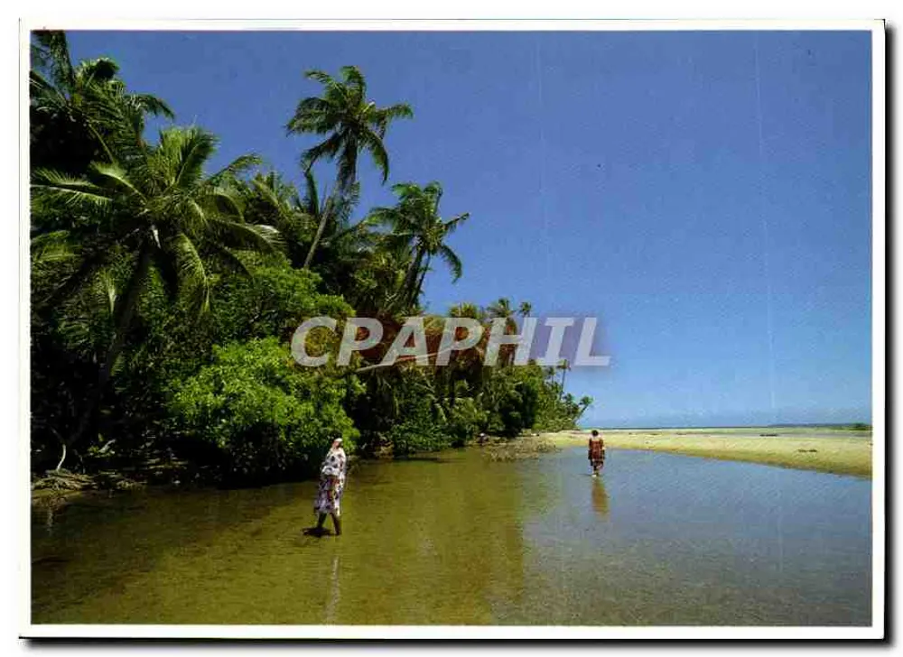 Paisagem da costa leste — East coast landscape — Éditions du Capou, n° C 15/85 - Frente