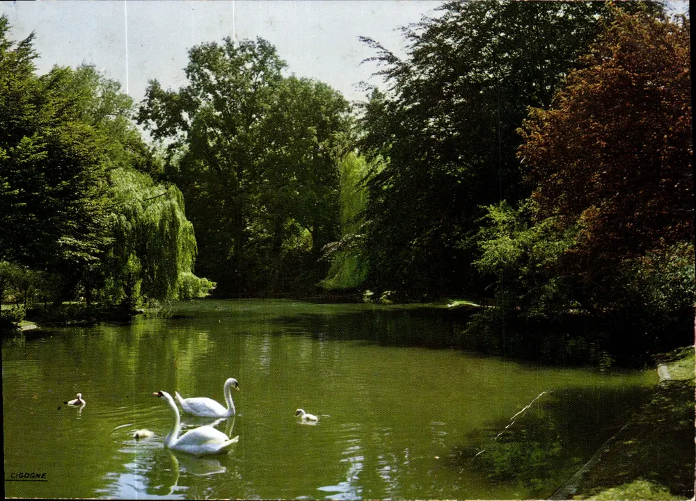 Schwanensee — Cambrai (Nord) — Storch - Vorderseite