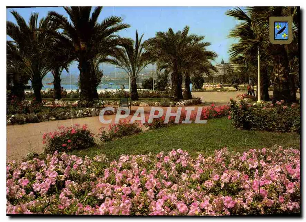 Cannes — Blütenreiche Gärten der Croisette — Grasse Haupt - Vorderseite