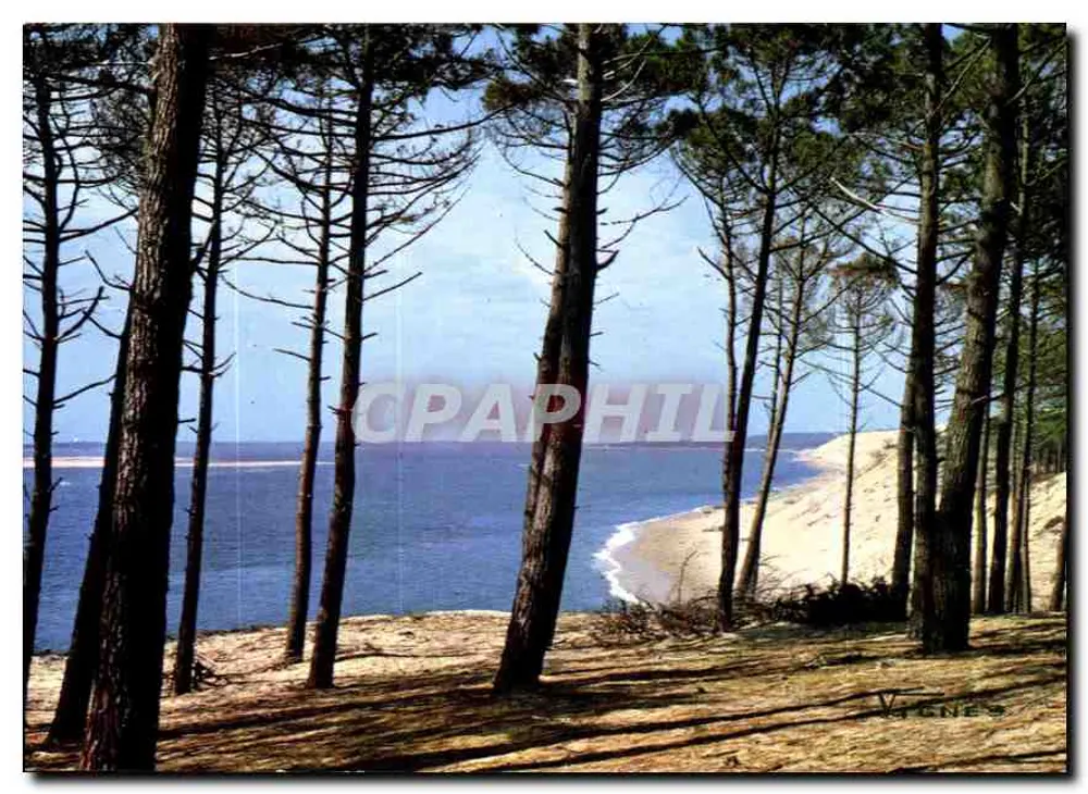 Vignes — Vista da costa — Edições Art Vignes - Frente