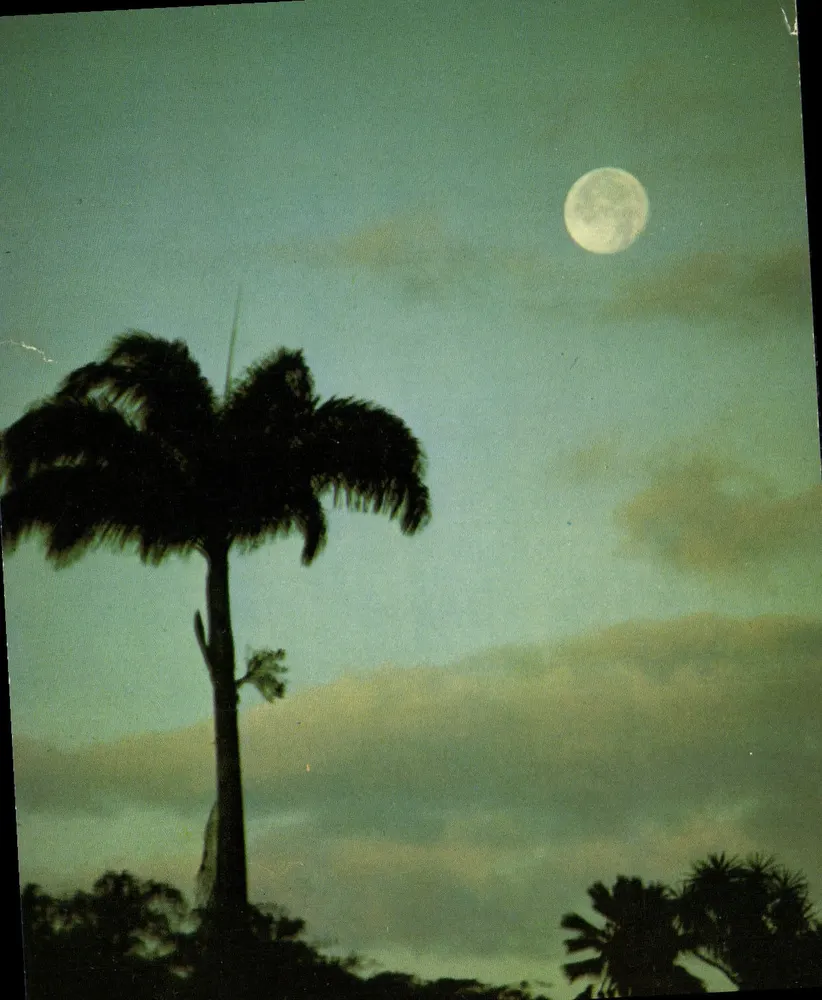 Martinique — Amanhecer sob os trópicos — Edições Félix Rose-Sette, N° 128 - Frente