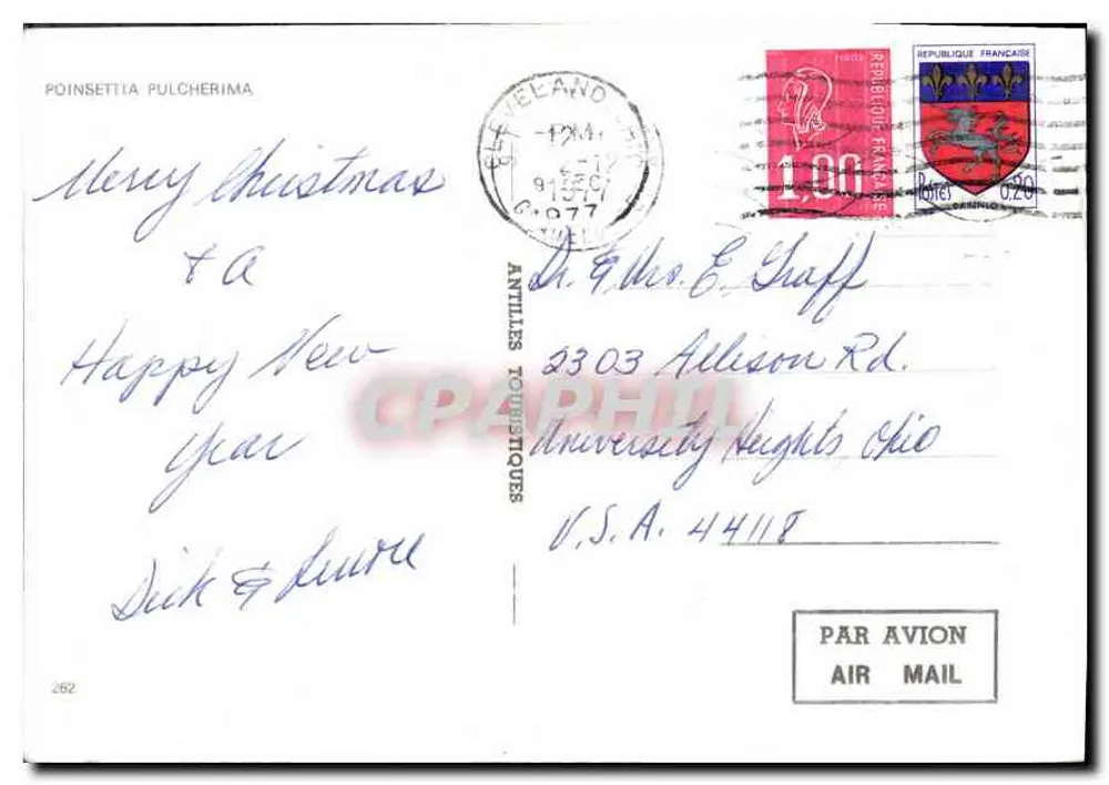 Poinsettia pulcherima — carta postal de Natal — editor: Antilles Touristiques - Verso
