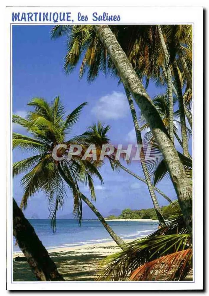 Martinique, die Salines — Éditions Exbrayat, M 175 - Vorderseite