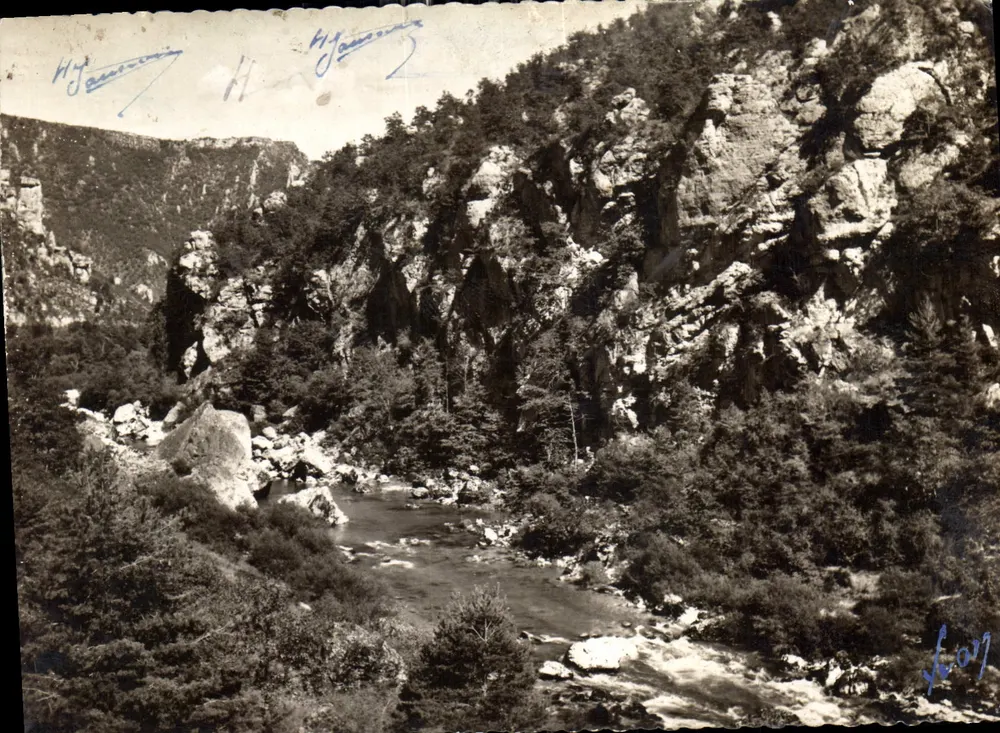 Gorges du Tarn — Les Vignes (Lozère) — Les Éditions d'Art 'YVON' - Vorderseite
