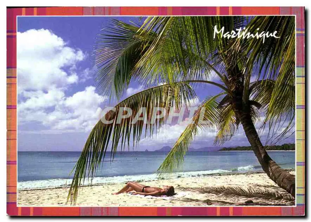 Martínique — plage de sable blanc sous palmier — Éditions Grand Sud, M 10 - Frente