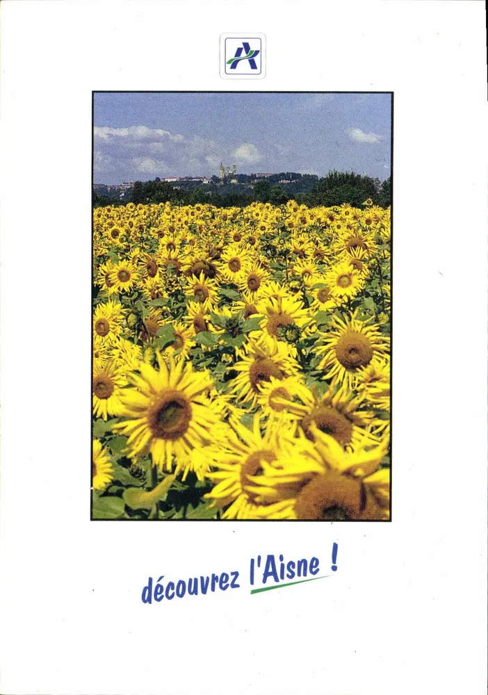 Campo de girassóis — Aisne — Conselho Geral do Aisne - Frente