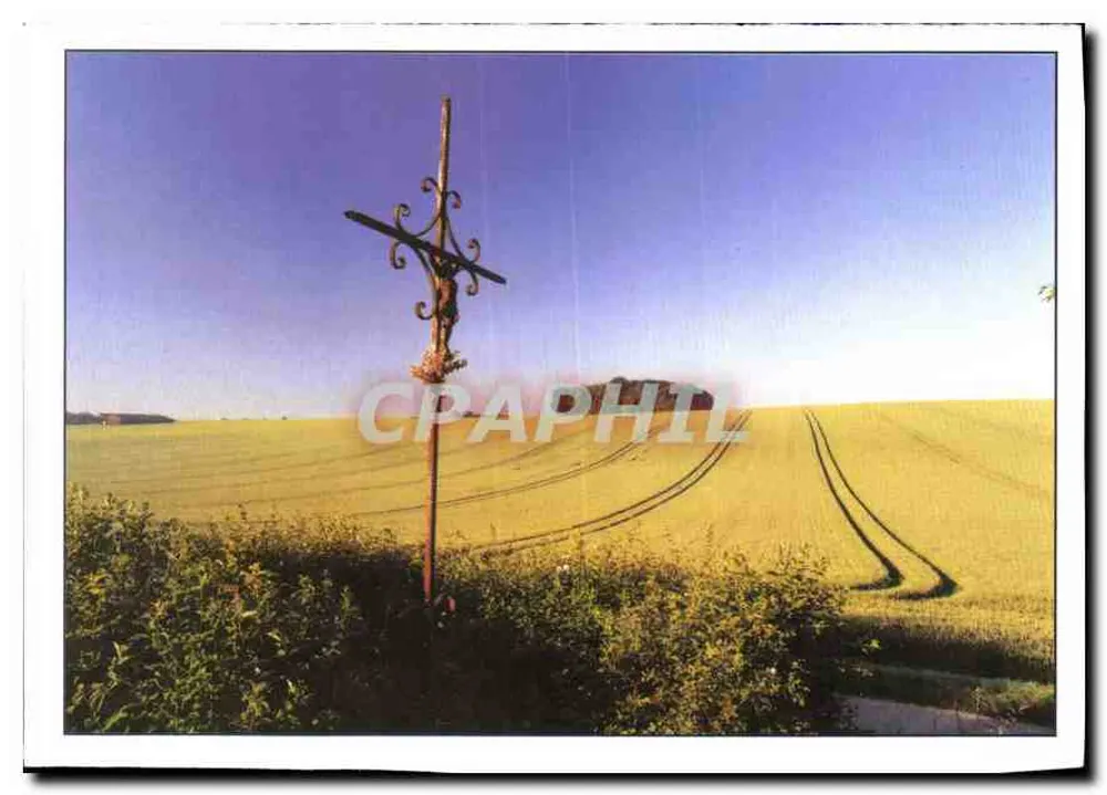 Krzyż polowy — pole zbożowe — Rada Regionu Picardy - Awers