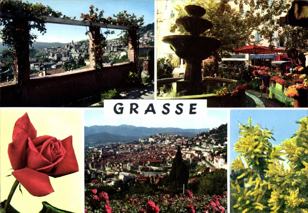 Grasse — vista panoramica, fontana, rosa e mimosa — Edizioni ABM - Recto