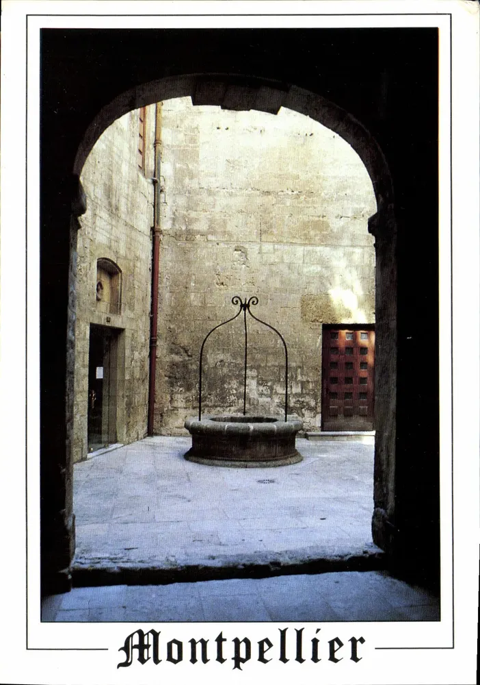 Brunnen in einem Innenhof — Montpellier — Éditions Méridionales - Vorderseite