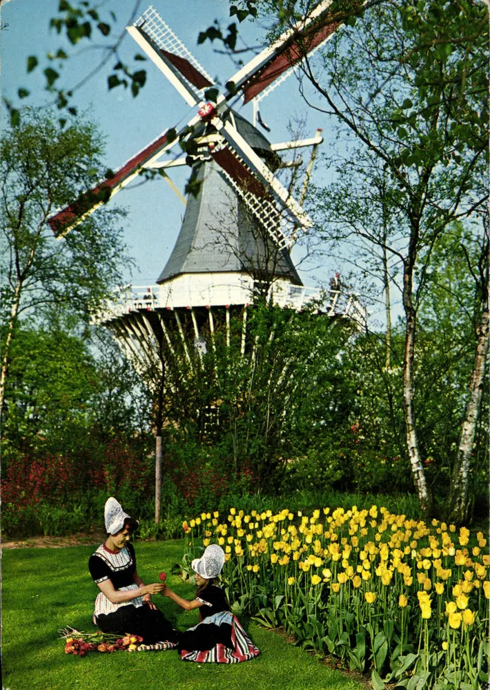 Moinho de vento — jardim de tulipas — editor Schiedam - Frente