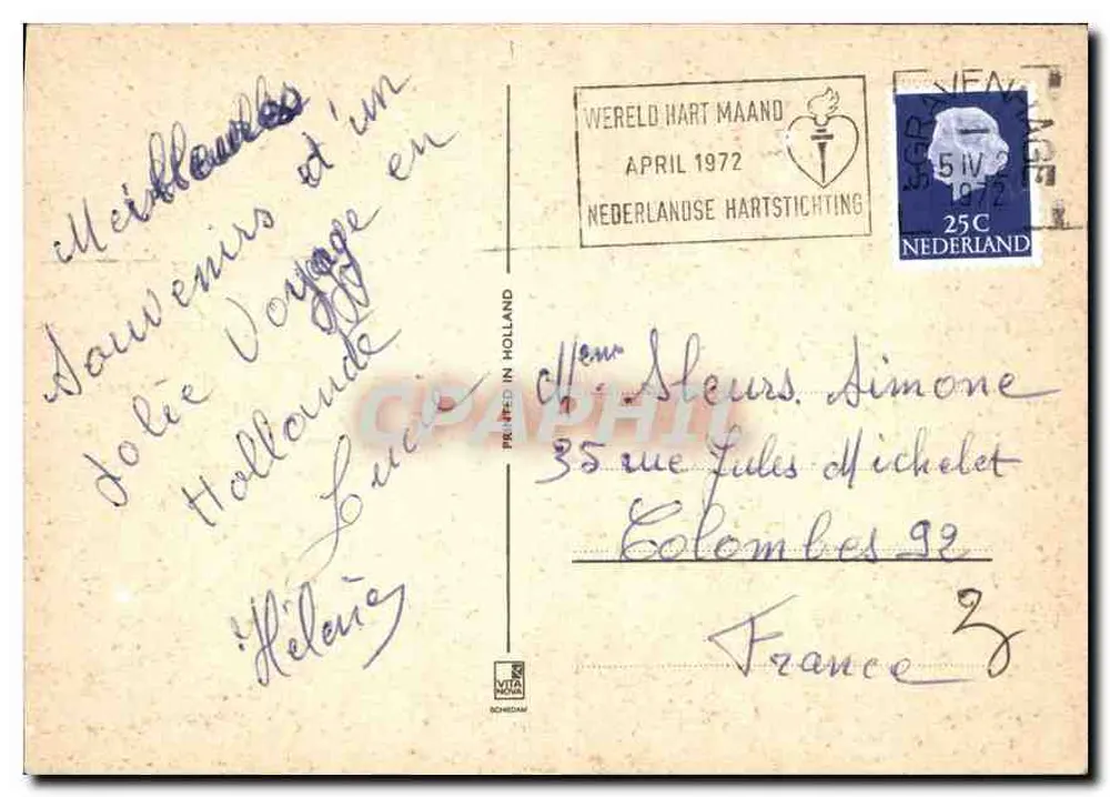 Moinho de vento — jardim de tulipas — editor Schiedam - Verso