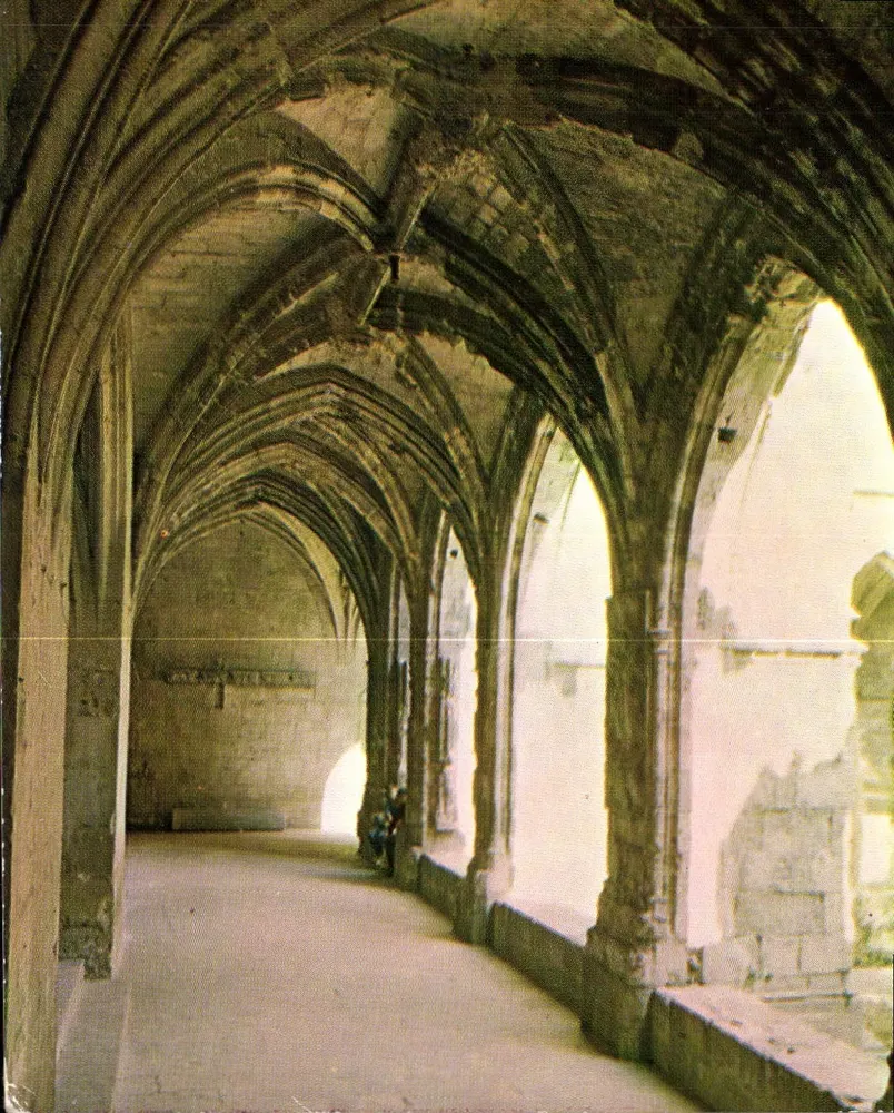 NARBONNE - O Claustro gótico — Sociedade Edições da França, n° 22461 - Frente