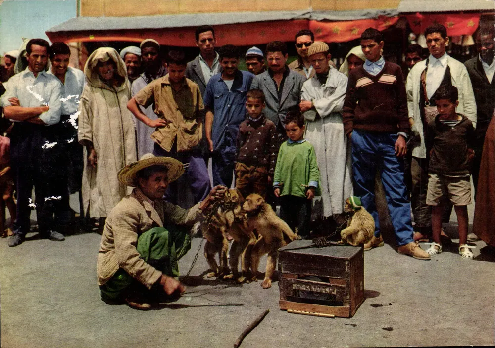Dresseur de singes — Marrocos — editor Marrocos Pittoresque, n° 1300/15 - Frente