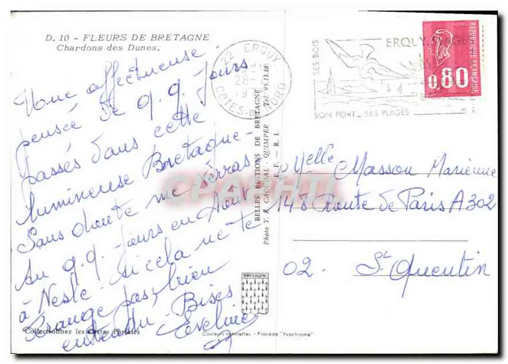 Chardons das Dunas — Bretanha — Foto Y. Candol - R.L. - Verso