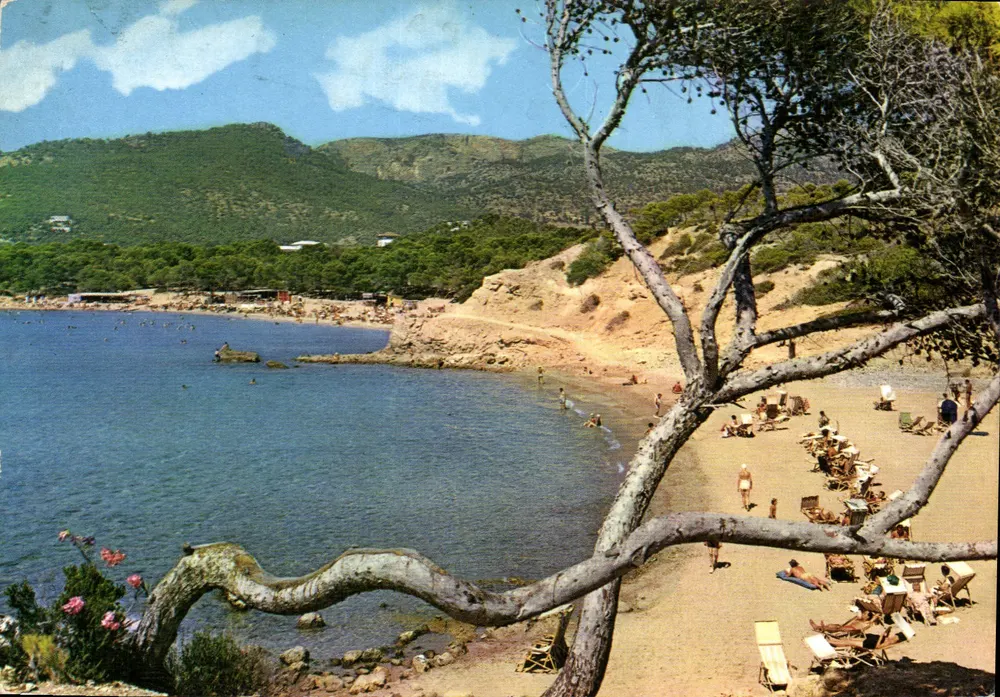 Playa de Paguera — Mallorca (Baleares) — Editor NEVCOLOR, n° 1215 - Anverso