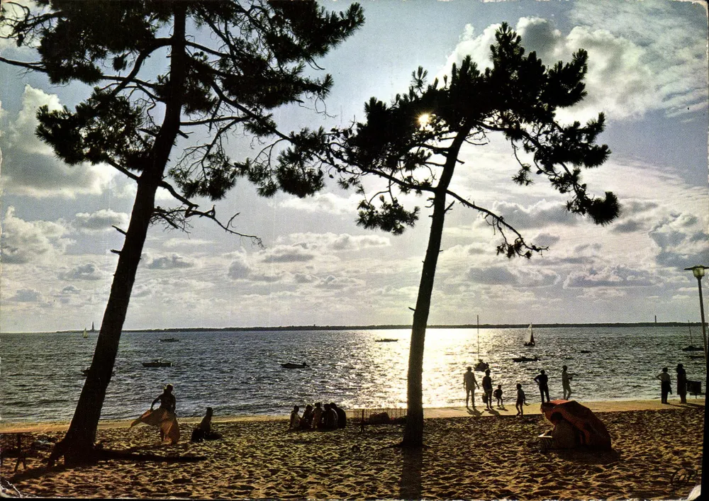 Côte d'Argent - Sonnenuntergang durch die Kiefern — Ektacar, Arcachon - Vorderseite