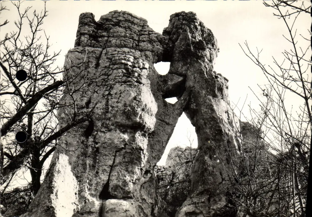 Der Wald Paiolive — Der Bär und der Löwe — Verlag J. Cellard, rue de l'Économie, Bron - Vorderseite