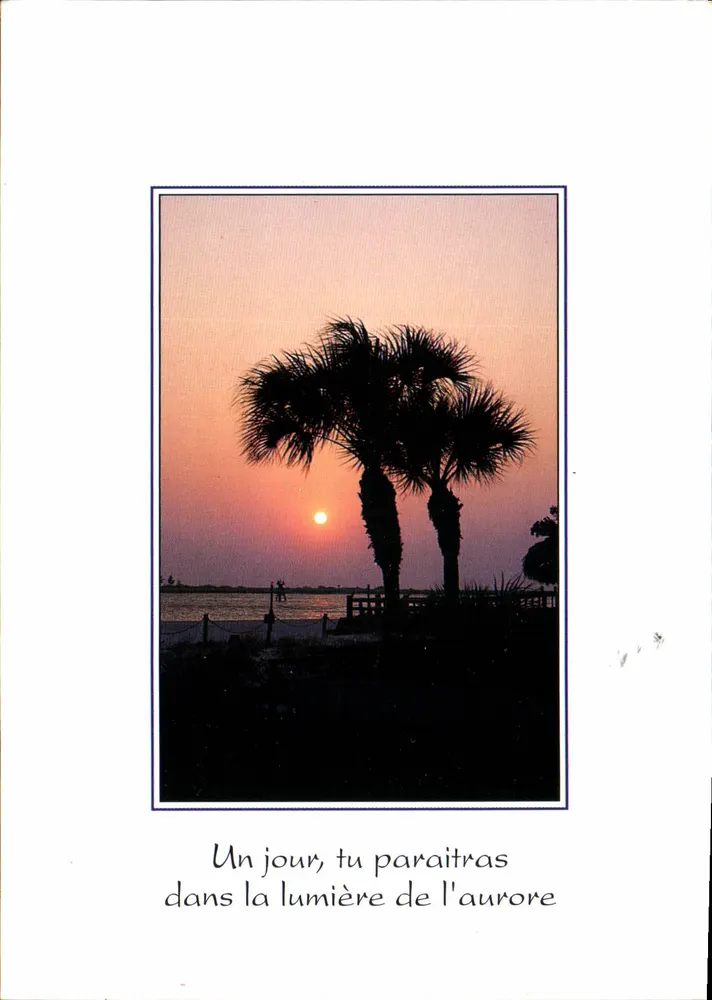 Sonnenuntergangslandschaft mit Palmen — poetischer Text — Foto von A.M. Bregier - Vorderseite