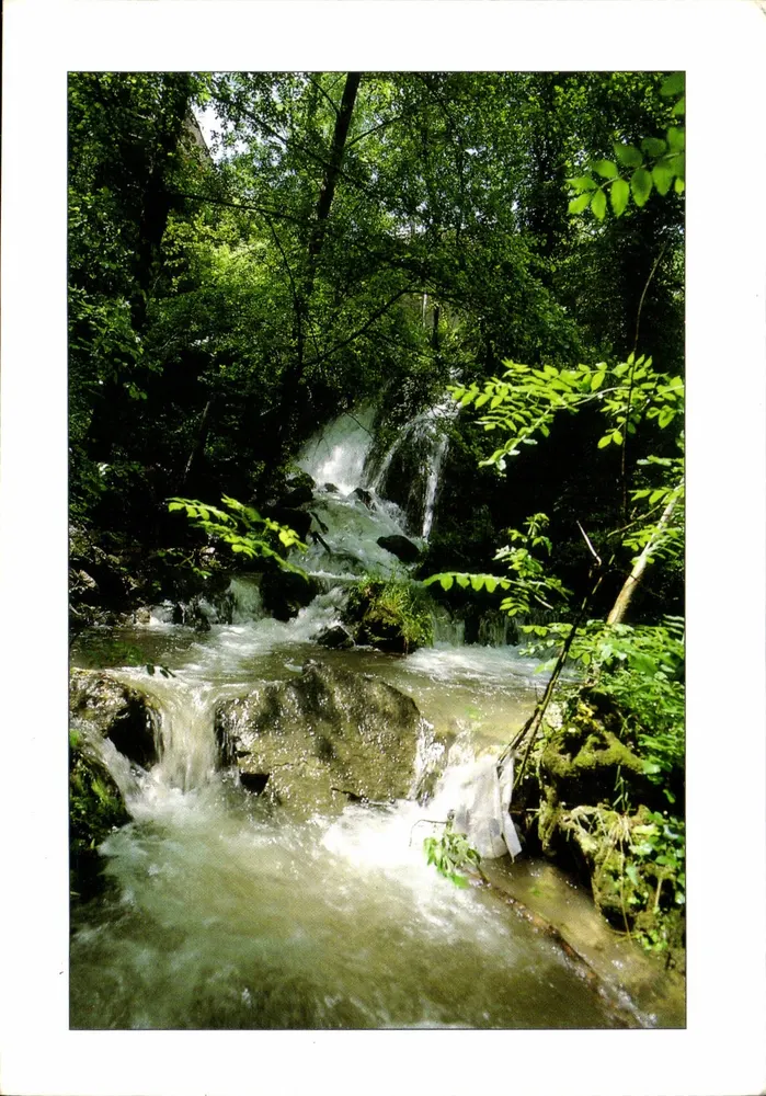 Fluss im Wald — Mittelmeer-Hinterland — Éditions St Jean de Vedas Nr. 133 - Vorderseite