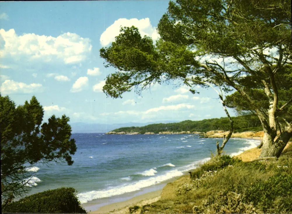 Typisches Landschaftsbild der Côte d'Azur — Licht und Schönheit der Côte d'Azur — Edition Les Éditions Naturelles - Vorderseite