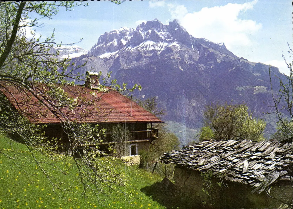 Frühling in den Alpen — In einer Ecke der Tal — Editions JANSOL, n° 6073 - Vorderseite