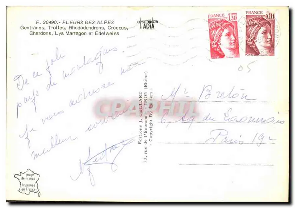A ALPE florida — Éditions J. Cellaard, n° 30490 - Verso
