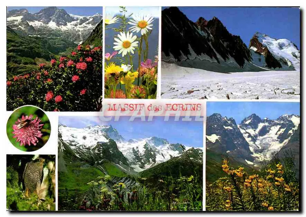 Massif dos Écrins — paisagens alpinas e flora — Éditions des Alpes - Frente