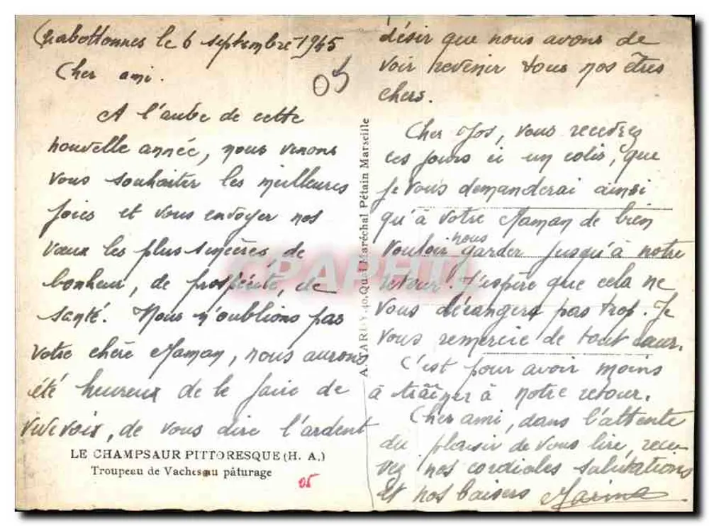 Alpine Weide — Rinderherde — Das pittoreske Champsaur (H.A.) - Rückseite